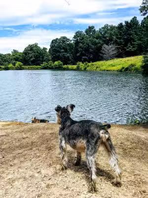 Fry Family Park - Stark Parks - Magnolia, OH