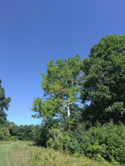 Fry Family Park - Stark Parks - Magnolia, OH