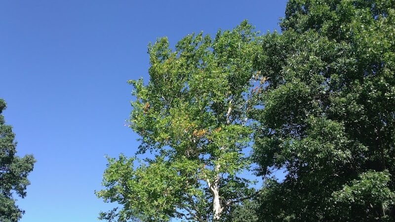 Fry Family Park - Stark Parks - Magnolia, OH