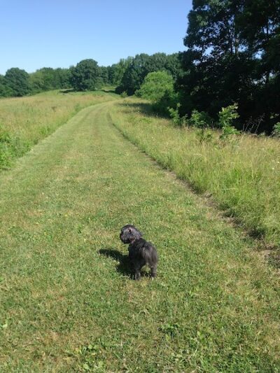 Fry Family Park - Stark Parks - Magnolia, OH