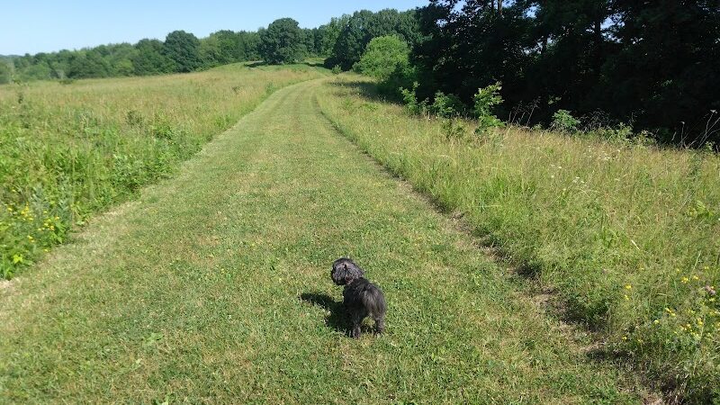 Fry Family Park - Stark Parks - Magnolia, OH
