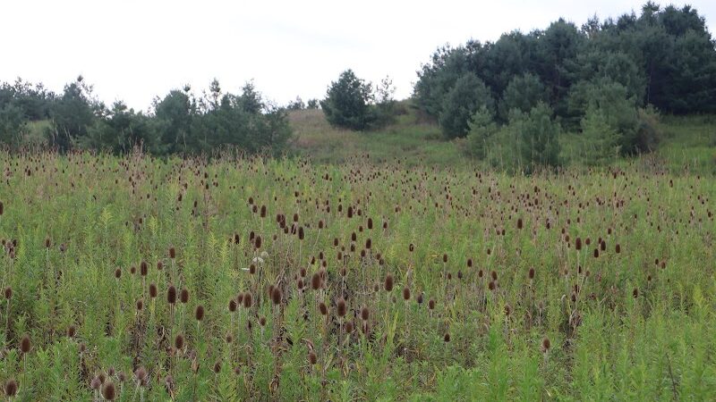 Pike Ridge Park - Magnolia, OH