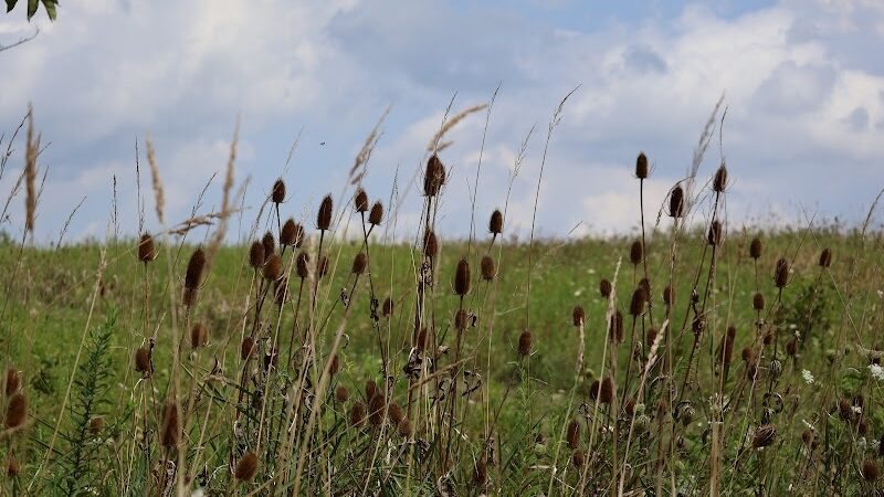 Pike Ridge Park - Magnolia, OH
