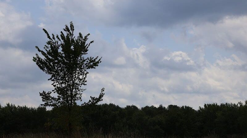 Pike Ridge Park - Magnolia, OH