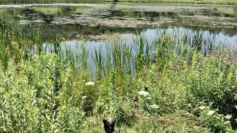 Pike Ridge Park - Magnolia, OH