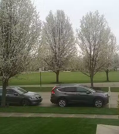 Central Park - Maineville, OH