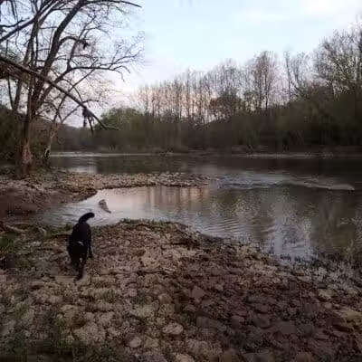 Hamilton Township Park - Maineville, OH