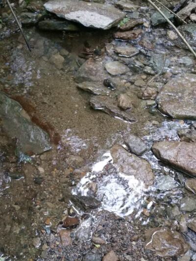 Hamilton Township Park - Maineville, OH