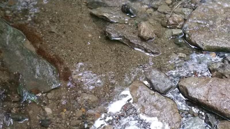 Hamilton Township Park - Maineville, OH