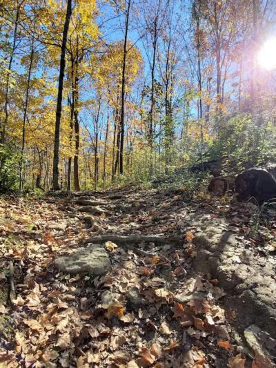 Landen Deerfield Park - Maineville, OH