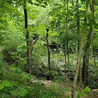 Landen Deerfield Park - Maineville, OH