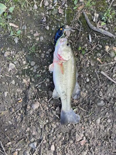 Malvern Village Park - Malvern, OH