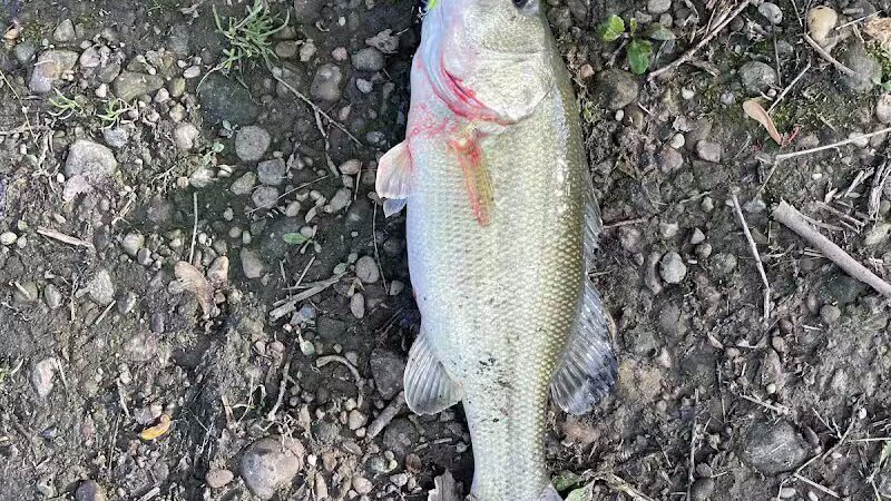 Malvern Village Park - Malvern, OH