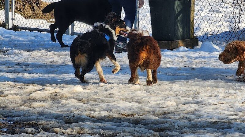 Manchester Dog Park - Manchester Center, VT