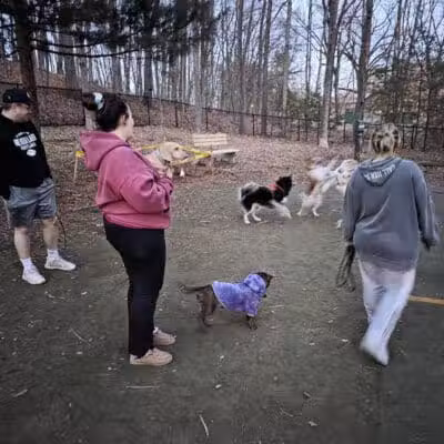 Manchester Dog Park - Manchester, CT