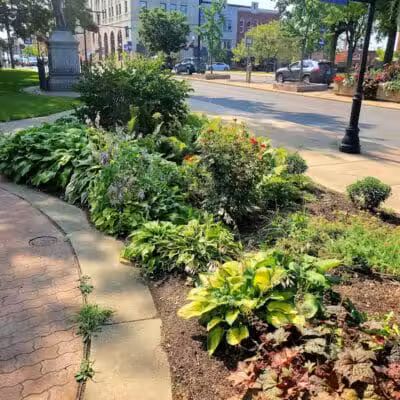 Central Park - Mansfield, OH