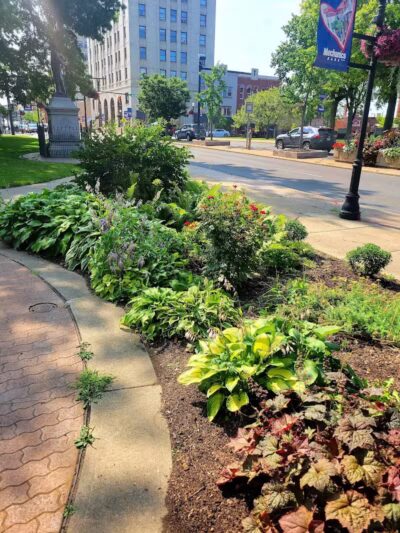 Central Park - Mansfield, OH