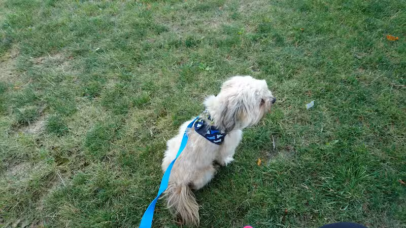 Central Park - Mansfield, OH