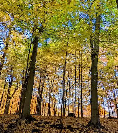 Fleming Falls Preserve - Mansfield, OH