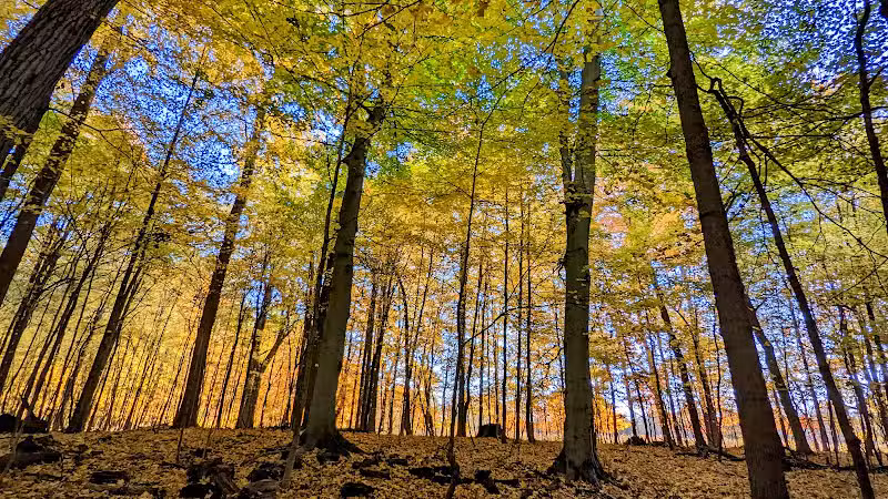 Fleming Falls Preserve - Mansfield, OH