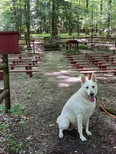 Fleming Falls Preserve - Mansfield, OH