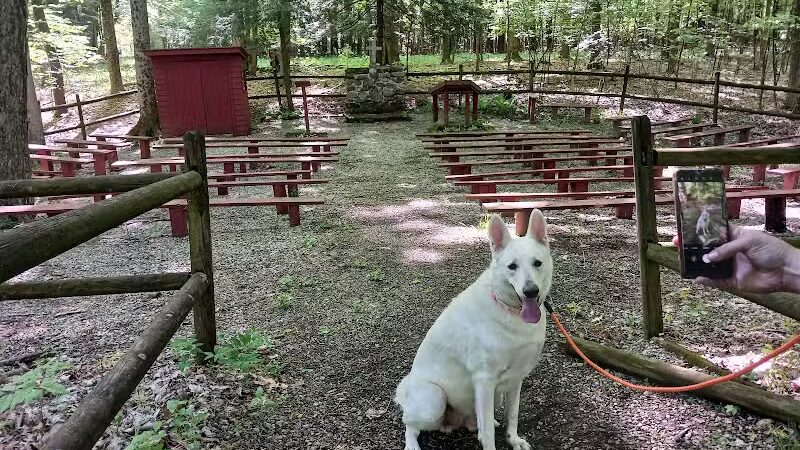 Fleming Falls Preserve - Mansfield, OH