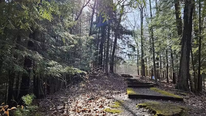 Fleming Falls Preserve - Mansfield, OH