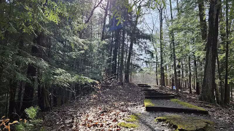 Fleming Falls Preserve - Mansfield, OH