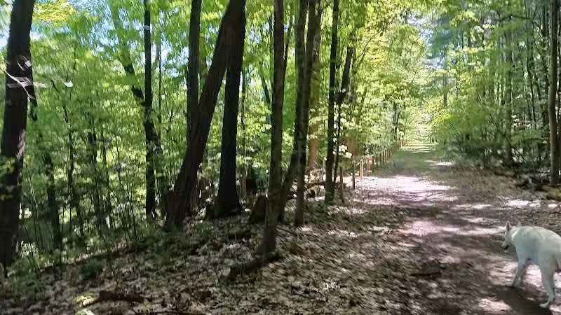 Fleming Falls Preserve - Mansfield, OH