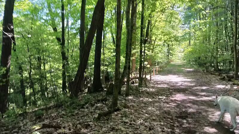 Fleming Falls Preserve - Mansfield, OH