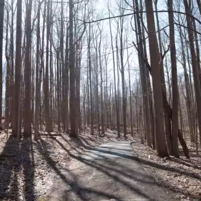 Fox Glen Park - Mansfield, OH