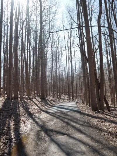 Fox Glen Park - Mansfield, OH