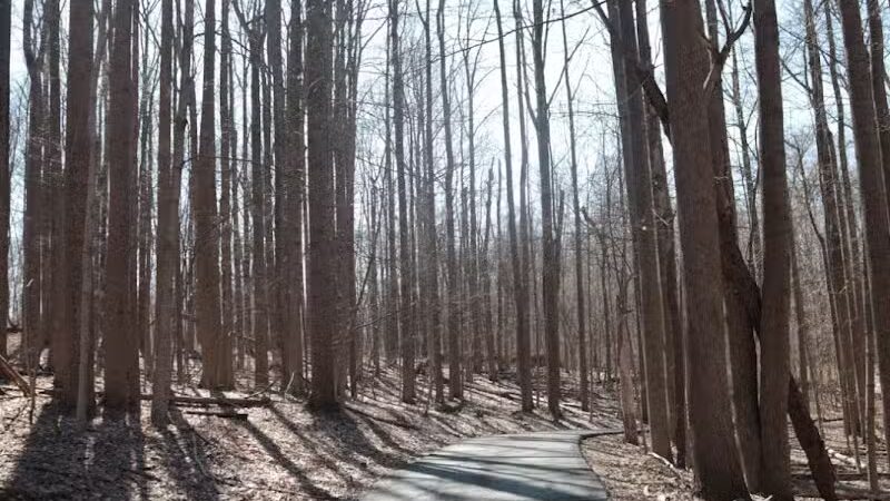 Fox Glen Park - Mansfield, OH