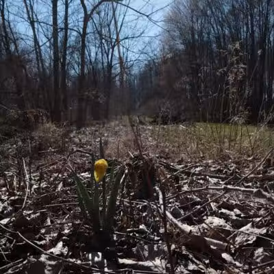 Fox Glen Park - Mansfield, OH