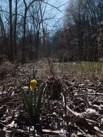 Fox Glen Park - Mansfield, OH