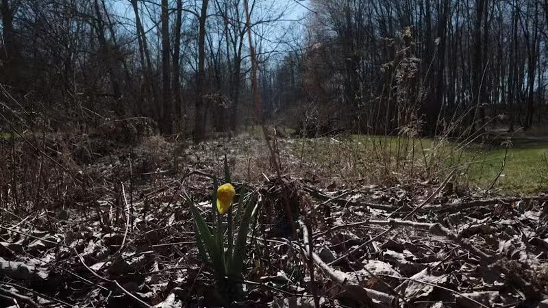 Fox Glen Park - Mansfield, OH