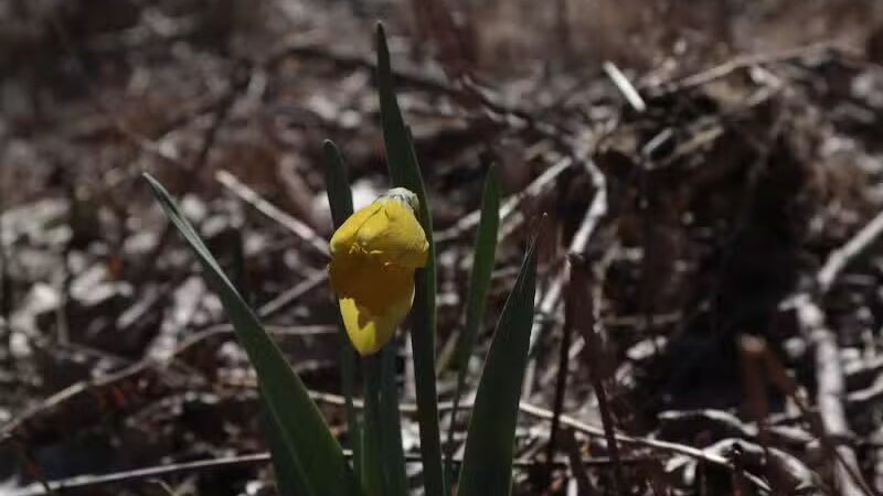 Fox Glen Park - Mansfield, OH