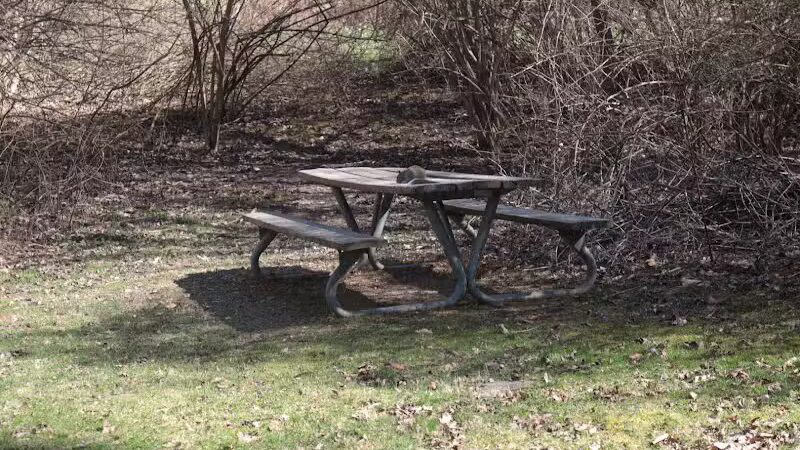 Fox Glen Park - Mansfield, OH