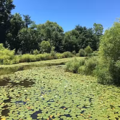 Gorman Nature Center - Mansfield, OH