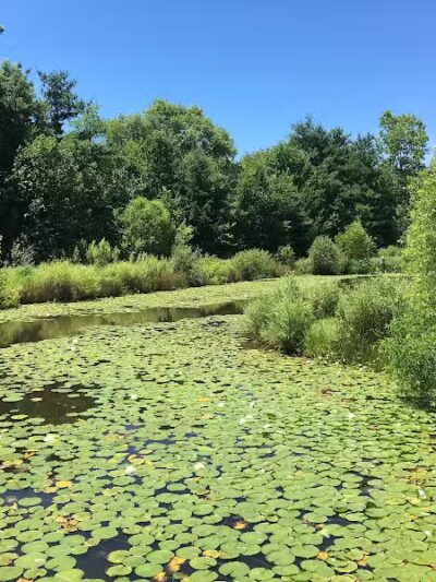 Gorman Nature Center - Mansfield, OH