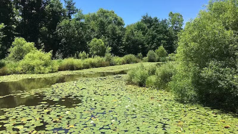 Gorman Nature Center - Mansfield, OH