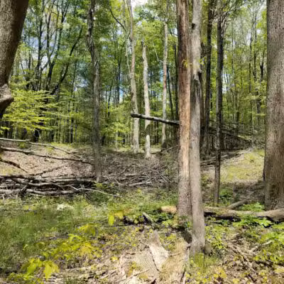 Gorman Nature Center - Mansfield, OH