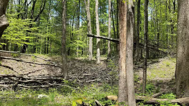 Gorman Nature Center - Mansfield, OH