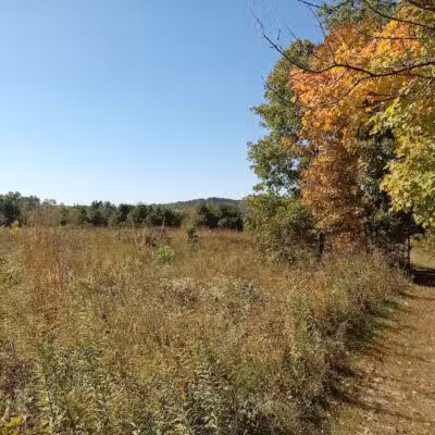 Gorman Nature Center - Mansfield, OH
