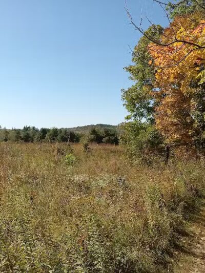 Gorman Nature Center - Mansfield, OH