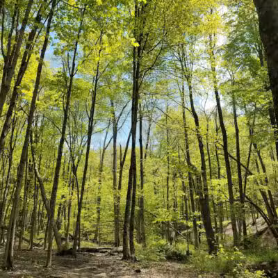 Gorman Nature Center - Mansfield, OH