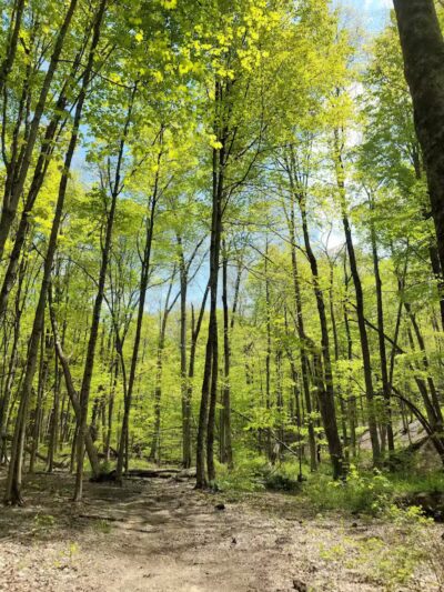 Gorman Nature Center - Mansfield, OH