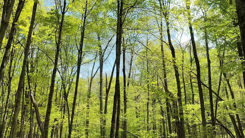 Gorman Nature Center - Mansfield, OH
