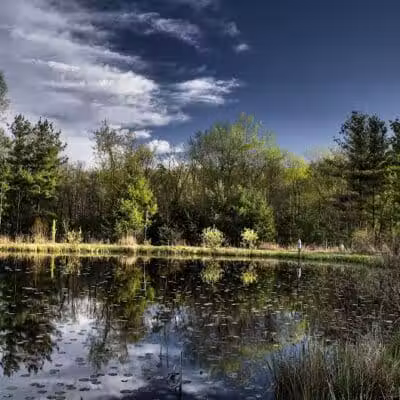 Gorman Nature Center - Mansfield, OH