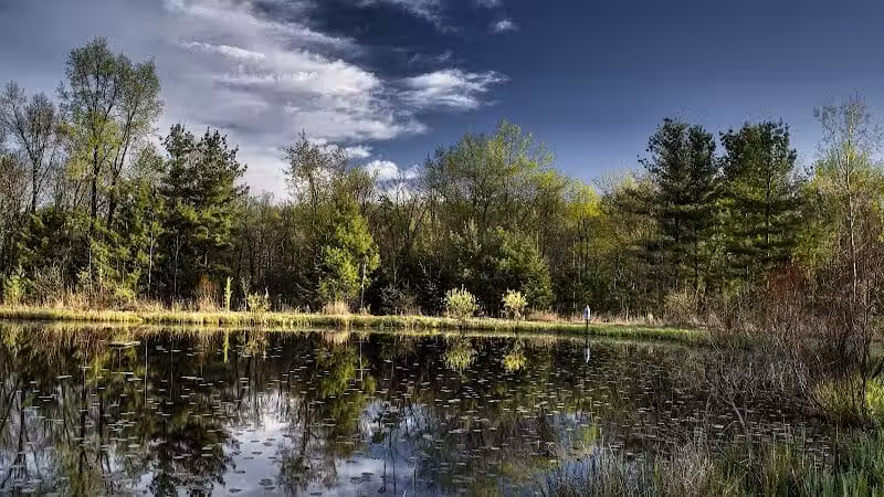 Gorman Nature Center - Mansfield, OH